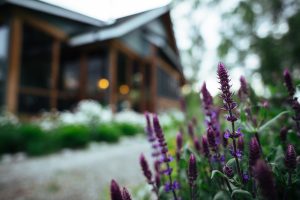 Flowers outside of the dining hall at Healing Waters Lodge