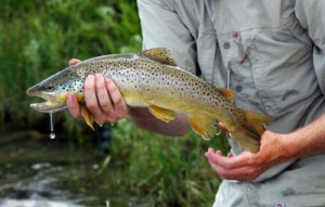 Beaverhead River Fishing in Montana