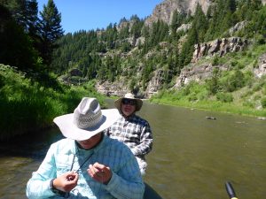 Fly Fish Guiding on the Smith