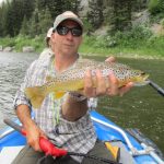 Brown trout caught on the Smith River