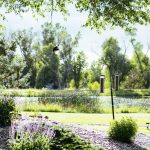 Afternoon at the Bird Feeders at Healing Waters Lodge