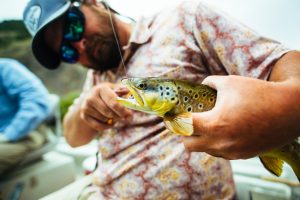 Healing Waters Lodge guide removing a fly from a trout