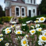 Flowers outside the original Healing Waters Lodge building