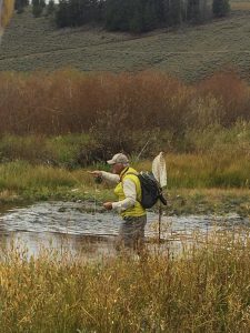 Small stream fly fishing in Southwest Montana