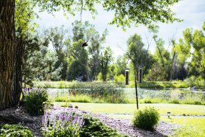 Bird feeder & pond at Healing Waters Lodge