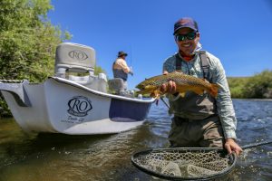 Brown Trout caught while drift boat fly fishing in SW Montana